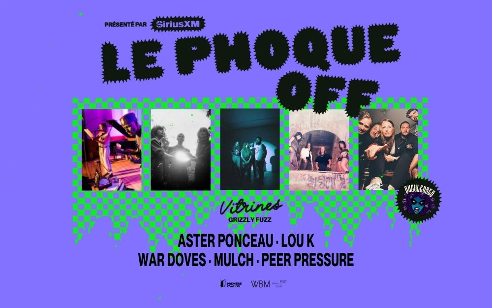 VITRINES GUEULEUSES : Aster Ponceau + Lou K + War Doves + Mulch + Peer Pressure.